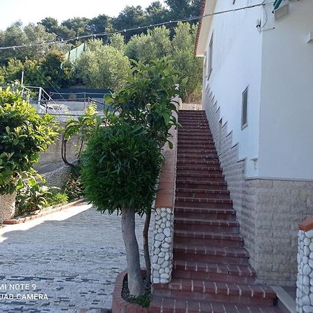 Apartament Casa Dei Limoni Peschici Zewnętrze zdjęcie