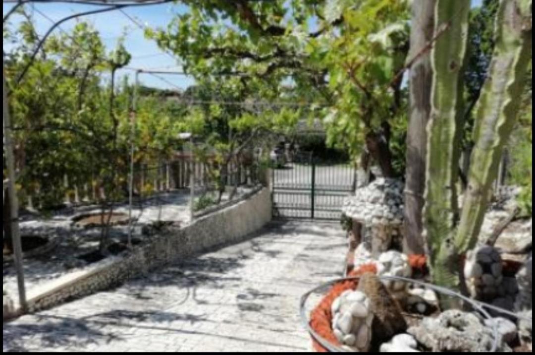Apartament Casa Dei Limoni Peschici Zewnętrze zdjęcie