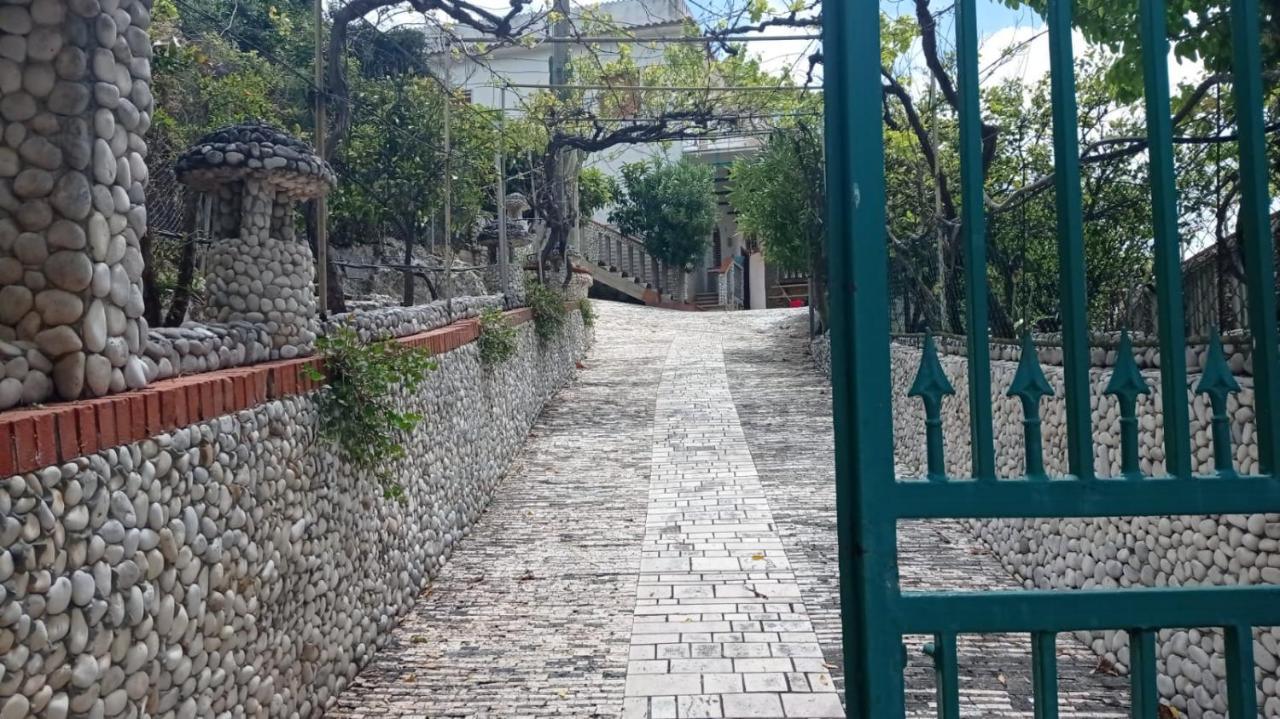 Apartament Casa Dei Limoni Peschici Zewnętrze zdjęcie