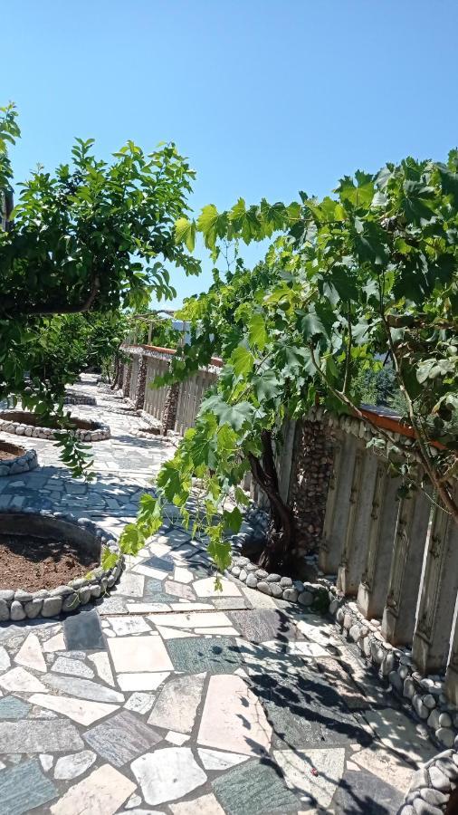 Apartament Casa Dei Limoni Peschici Zewnętrze zdjęcie