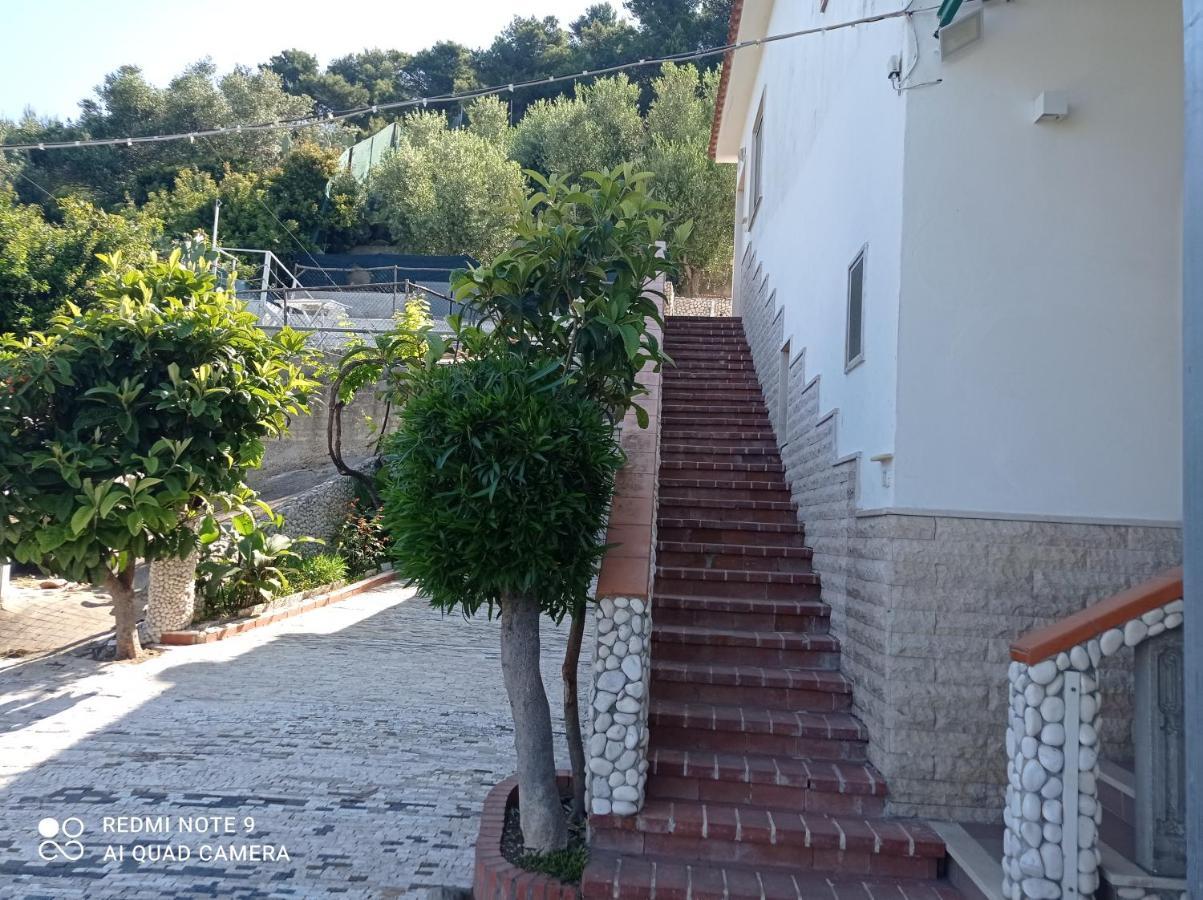 Apartament Casa Dei Limoni Peschici Zewnętrze zdjęcie