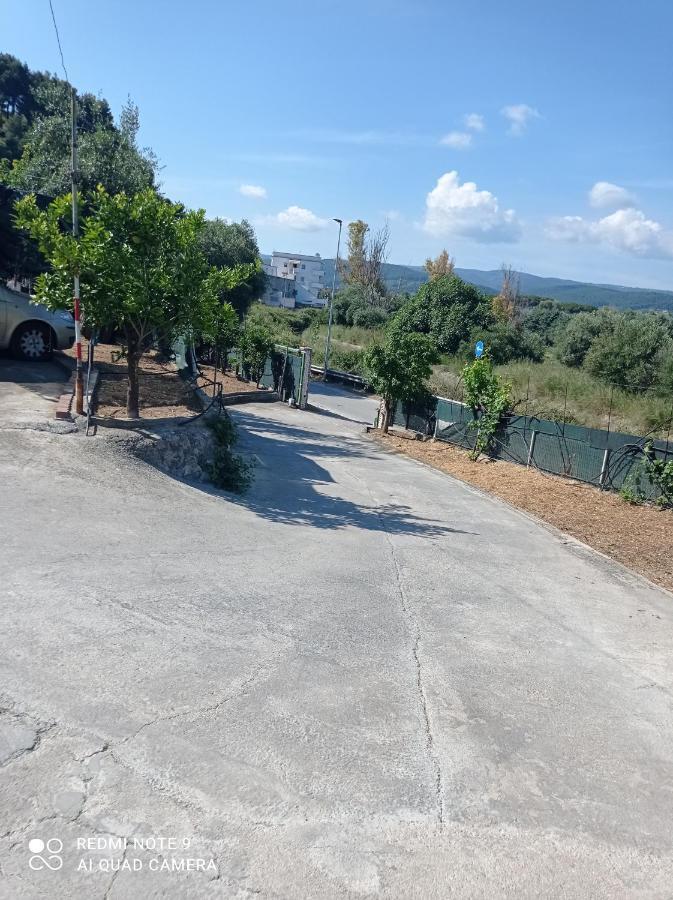 Apartament Casa Dei Limoni Peschici Zewnętrze zdjęcie