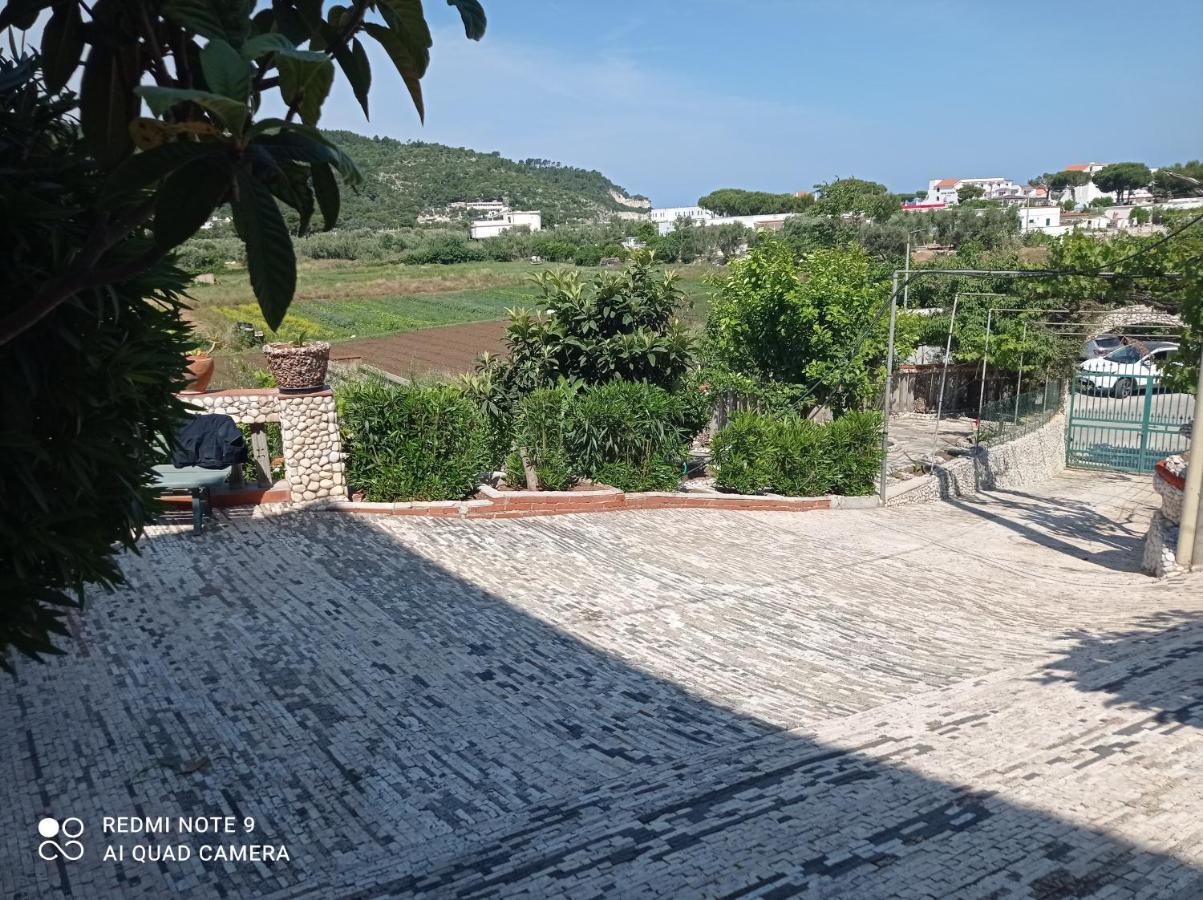 Apartament Casa Dei Limoni Peschici Zewnętrze zdjęcie