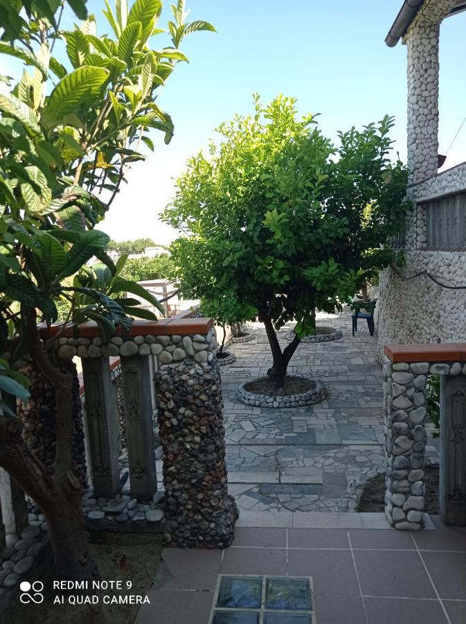 Apartament Casa Dei Limoni Peschici Zewnętrze zdjęcie