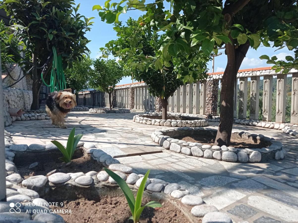 Apartament Casa Dei Limoni Peschici Zewnętrze zdjęcie