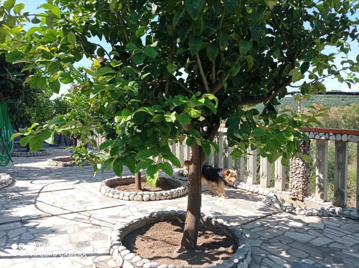Apartament Casa Dei Limoni Peschici Zewnętrze zdjęcie